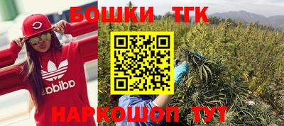 крисы Камышлов