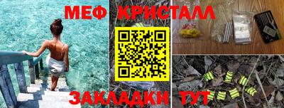 крисы Камышлов