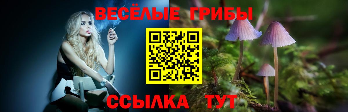 Псилоцибиновые грибы мицелий  где найти наркотики  Вход с VPN  Димитровград  Псилоцибиновые грибы Psilocybine cubensis 